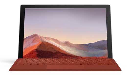 东莞生态园清洁和维护 Surface